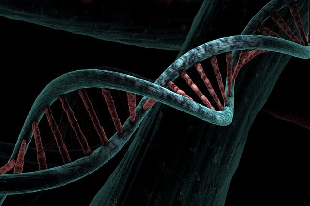 Caribbean DNA